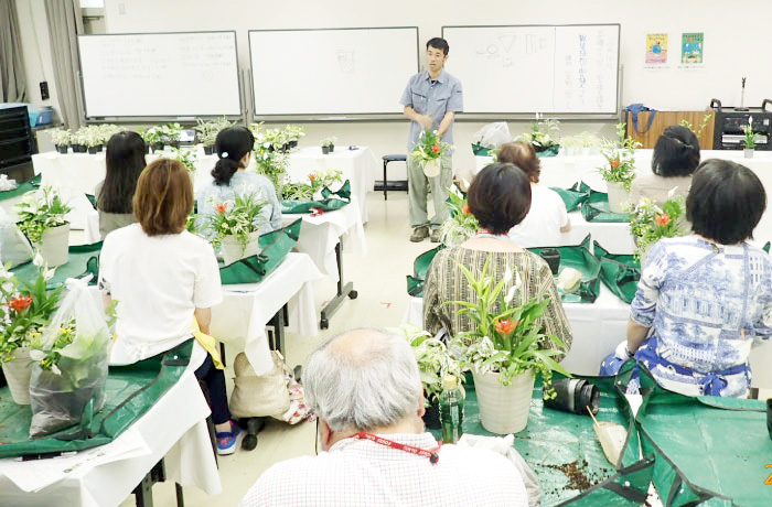 寄せ植え