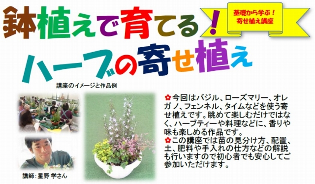 基礎から学ぶ 寄せ植え講座 鉢植えで育てる ハーブの寄せ植え エコギャラリー新宿