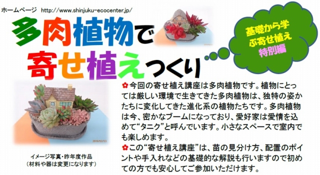 中止 基礎から学ぶ 寄せ植え講座 特別編 多肉植物で寄せ植えつくり エコギャラリー新宿