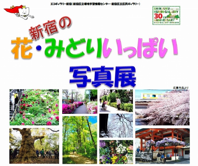 新宿の花・みどりいっぱい写真展 前期（12/16～12/26）