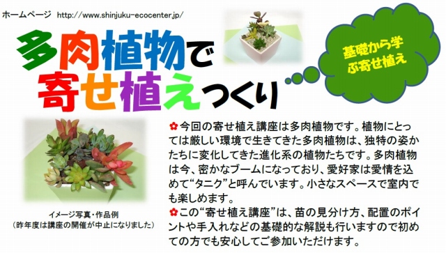 基礎から学ぶ 寄せ植え講座 多肉植物で寄せ植えつくり エコギャラリー新宿