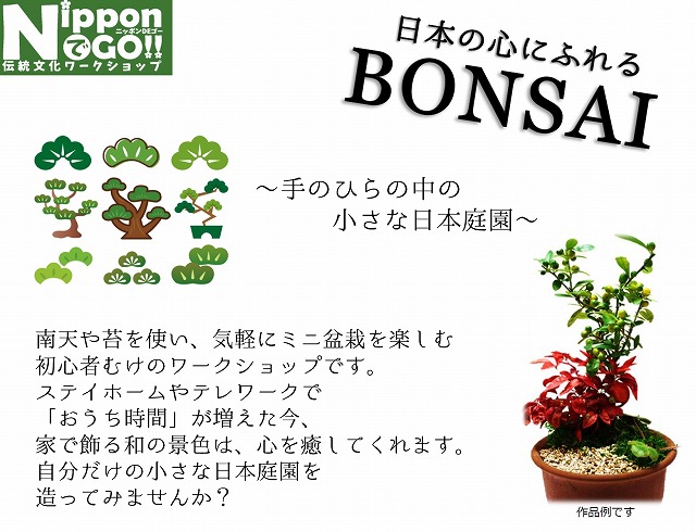 日本の心にふれるbonsai Nipponでgo 日本伝統文化ワークショップ エコギャラリー新宿