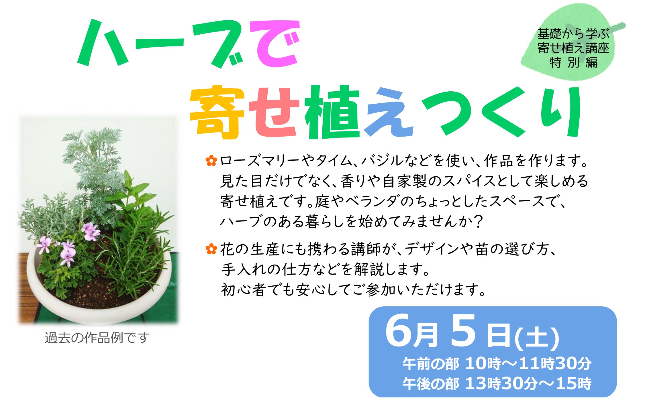 基礎から学ぶ寄せ植え講座 特別編 ハーブで寄せ植えつくり エコギャラリー新宿