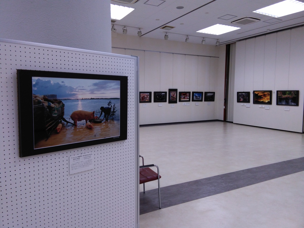 エコギャラリー新宿企画展 写真にみる 地球環境 エコギャラリー新宿