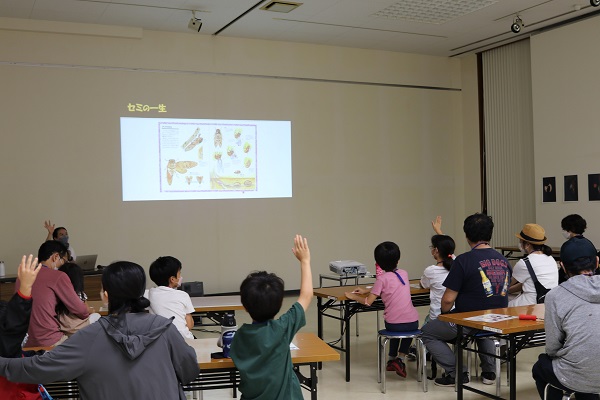 （7/29・7/30・7/31）2022年 夏 新宿中央公園 セミの羽化観察会