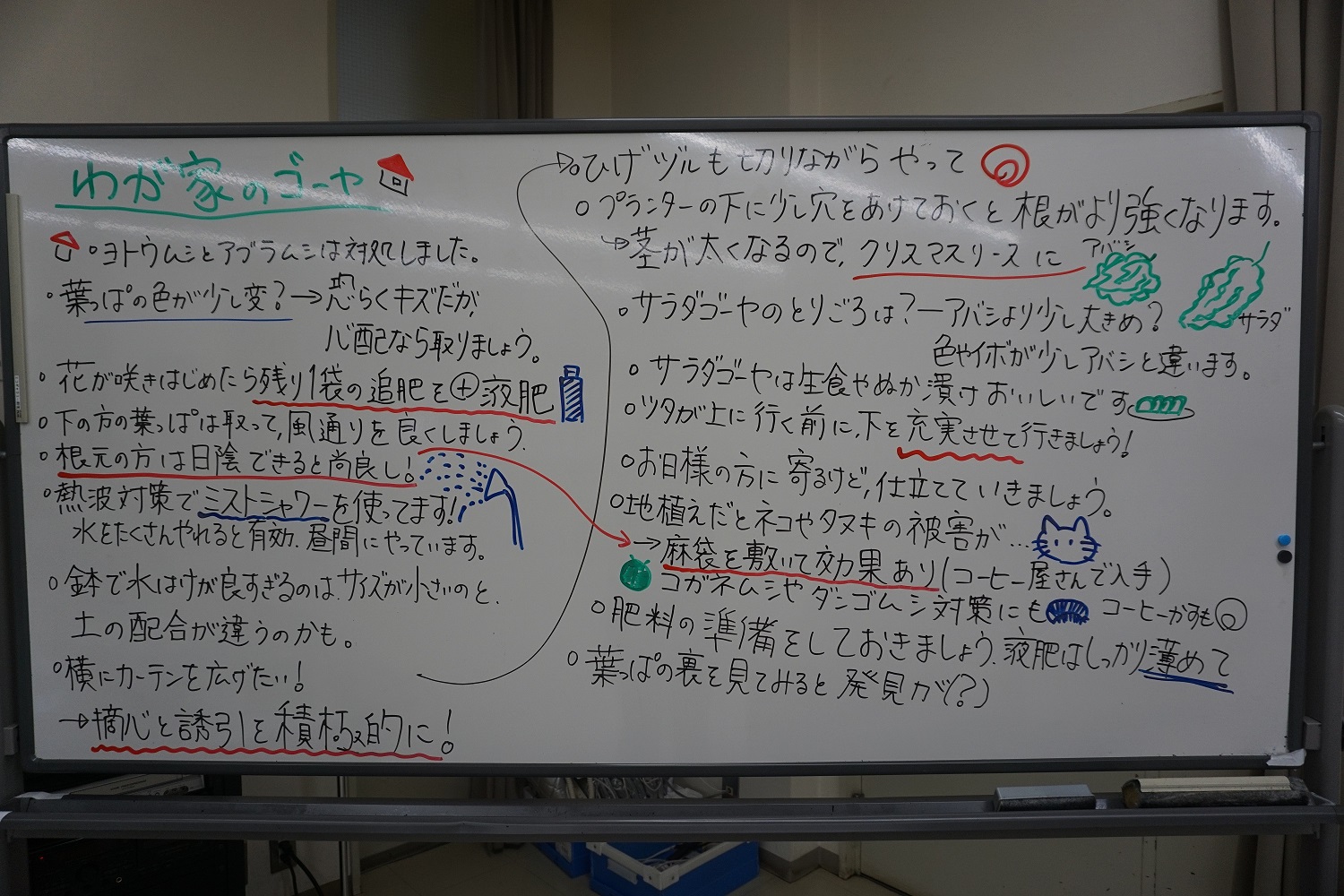 2022新宿「みどりのカーテン」プロジェクト「 6月のゴーヤサロン」