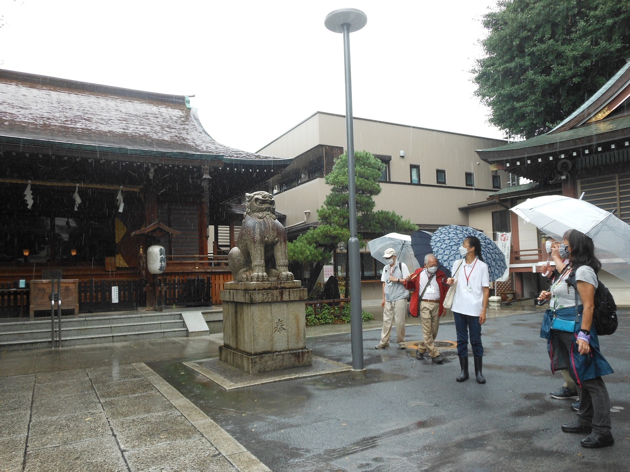 2022新宿「みどりのカーテン」プロジェクト みどりのカーテン探検