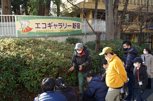 2023 冬 新宿中央公園 「冬のいきものを観察しよう！」