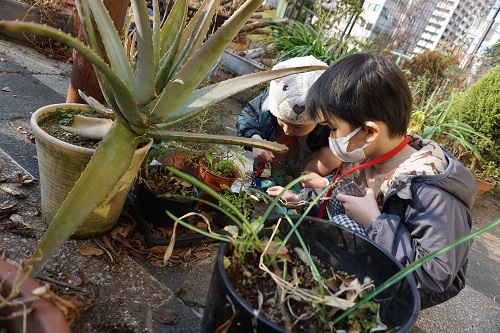 2023 冬 新宿中央公園 「冬のいきものを観察しよう！」