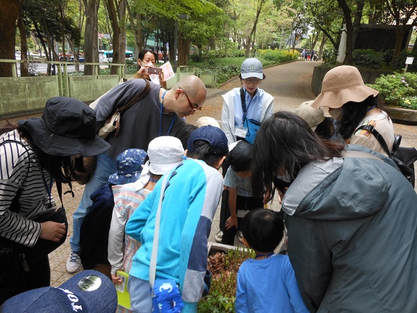 2023 春 新宿中央公園 「春のいきものを楽しもう！」