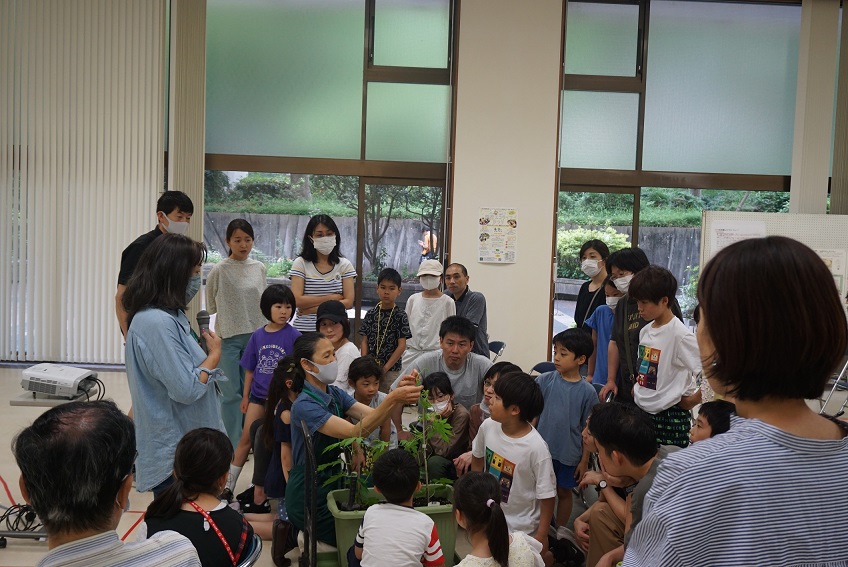 【総合案内】新宿でみどりのカーテンを育てよう！２０２３ 新宿「みどりのカーテン」参加者募集