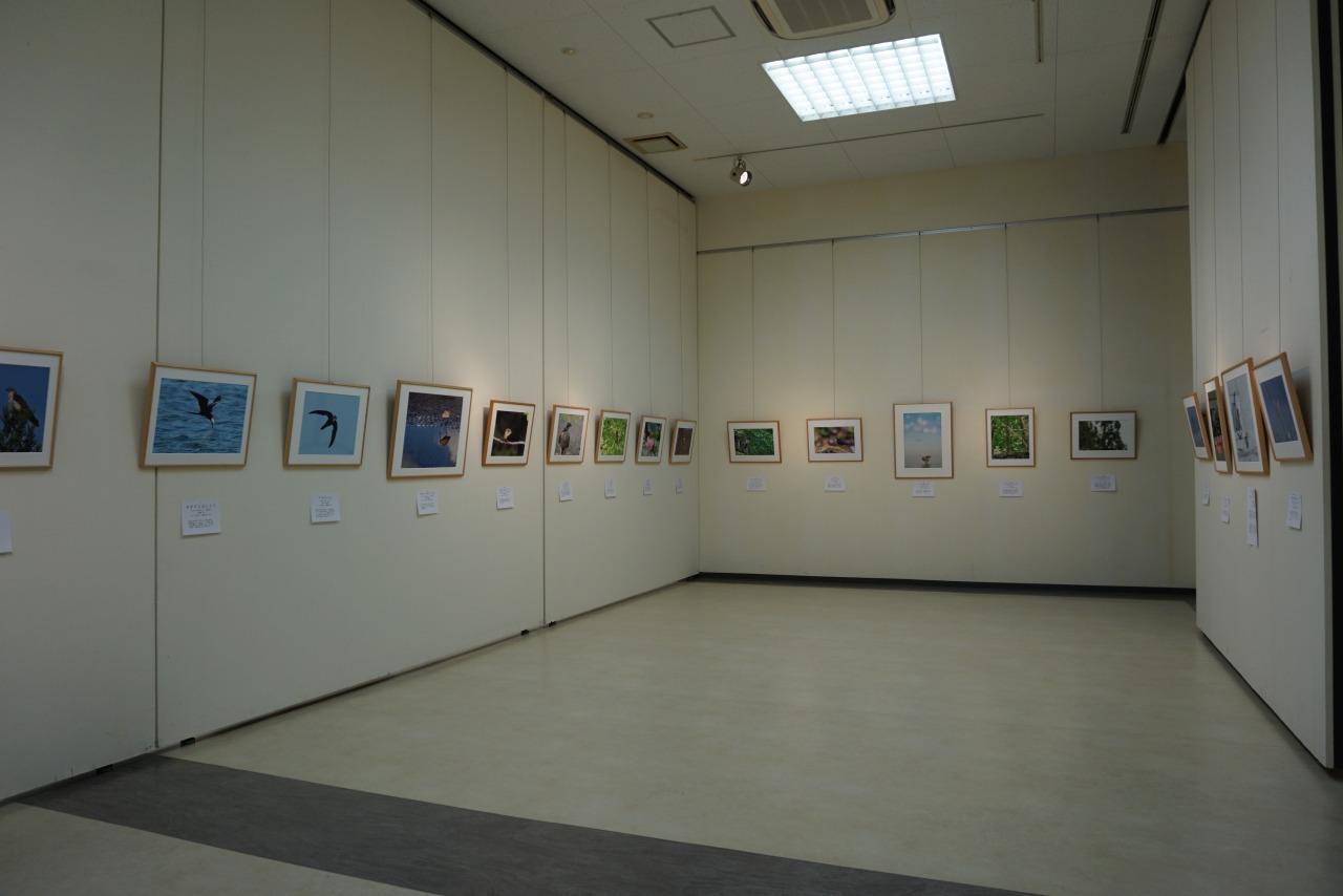 バード倶楽部　野鳥写真展