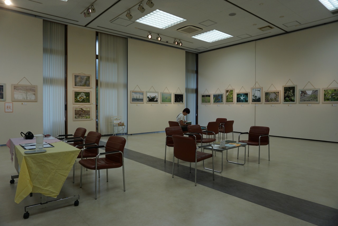 第6回写真の杜　合同作品展