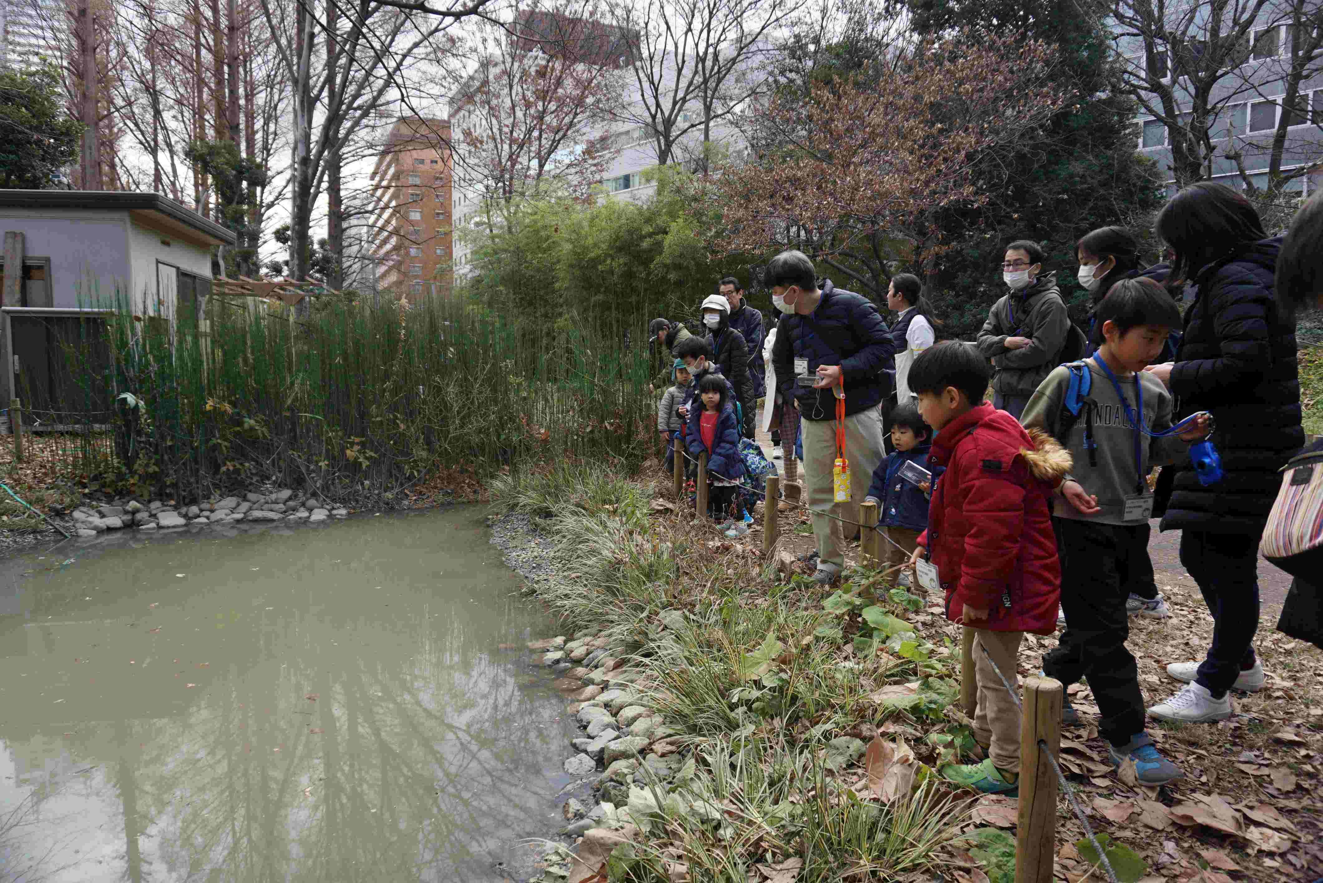 2024 冬 新宿中央公園 「冬のいきものを観察しよう！」