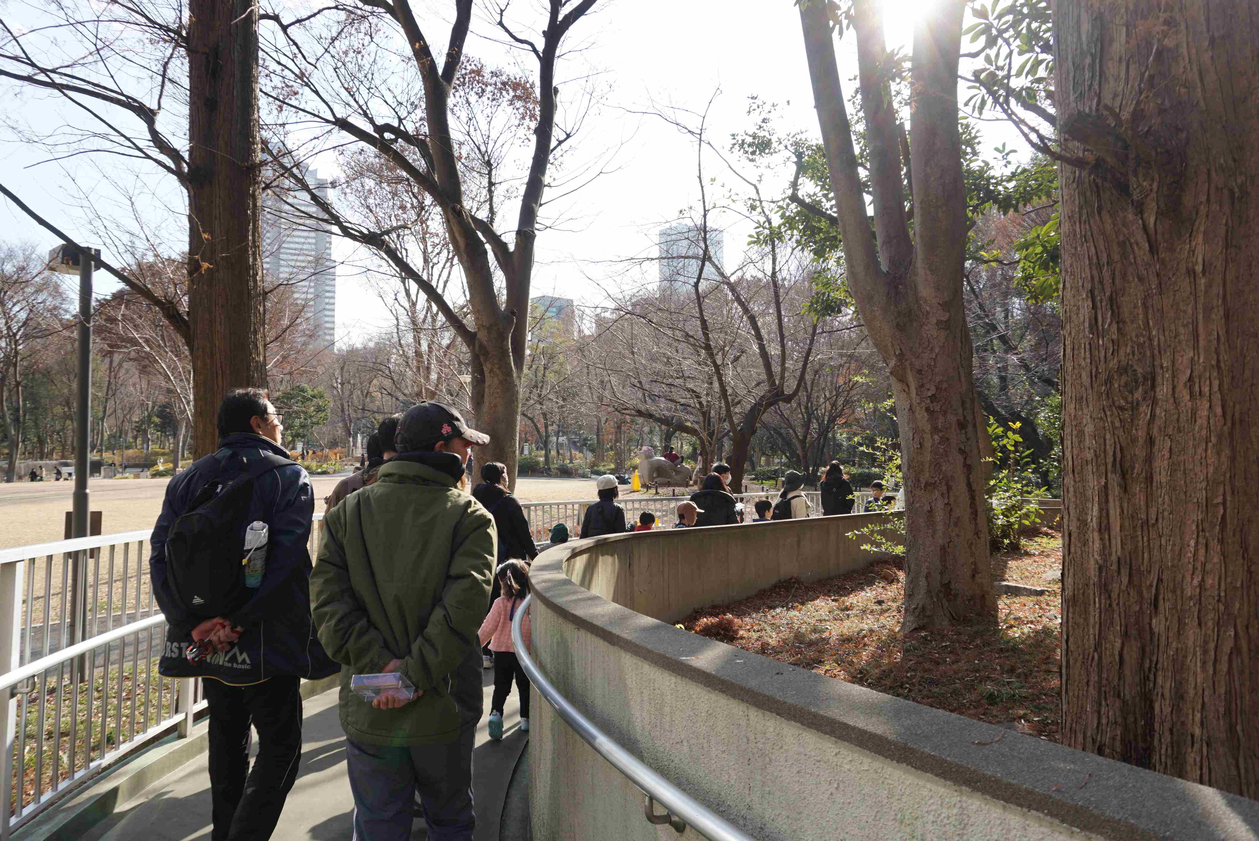 2024 冬 新宿中央公園 「冬のいきものを観察しよう！」
