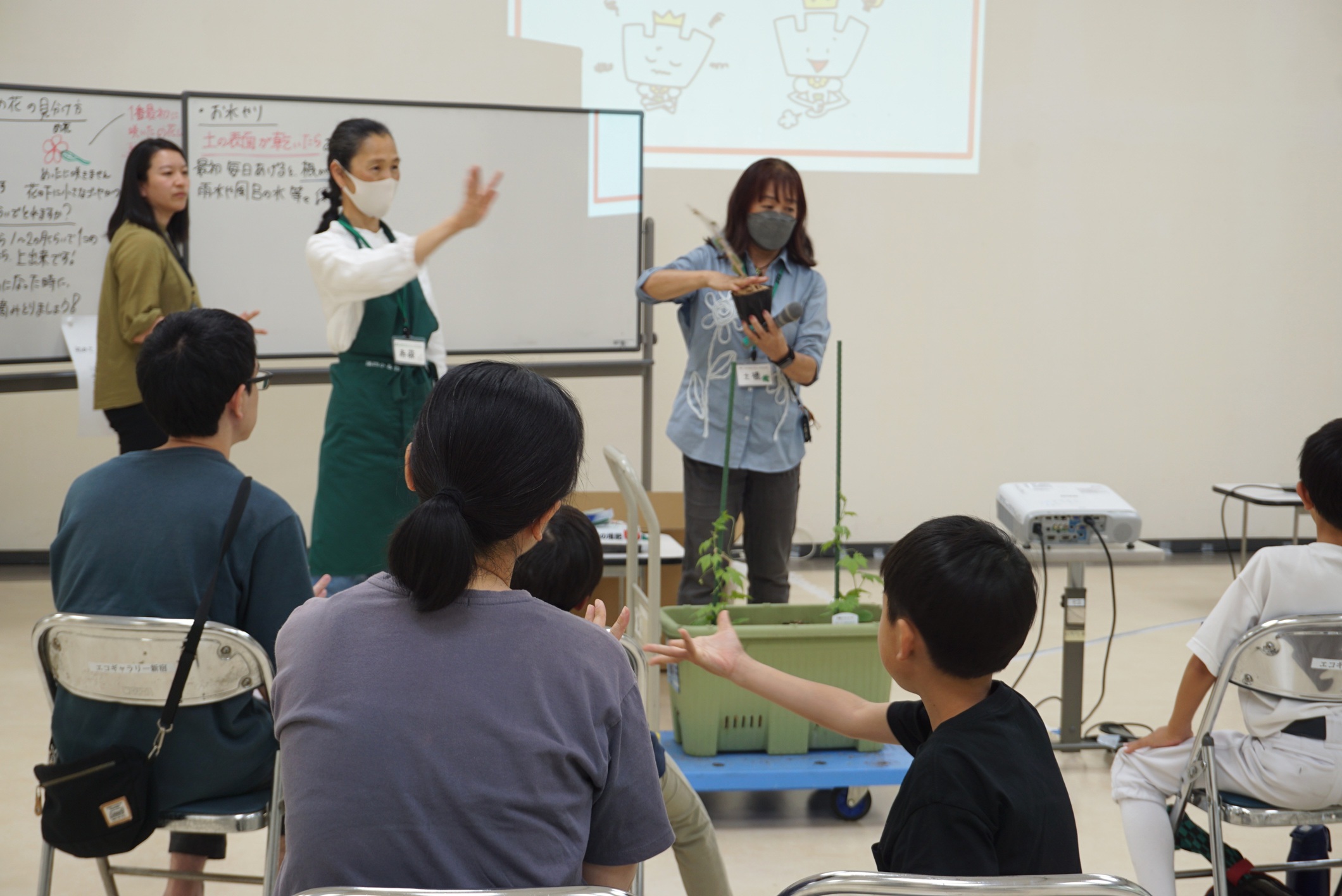 【総合案内】新宿でみどりのカーテンを育てよう！２０２４ 新宿「みどりのカーテン」参加者募集