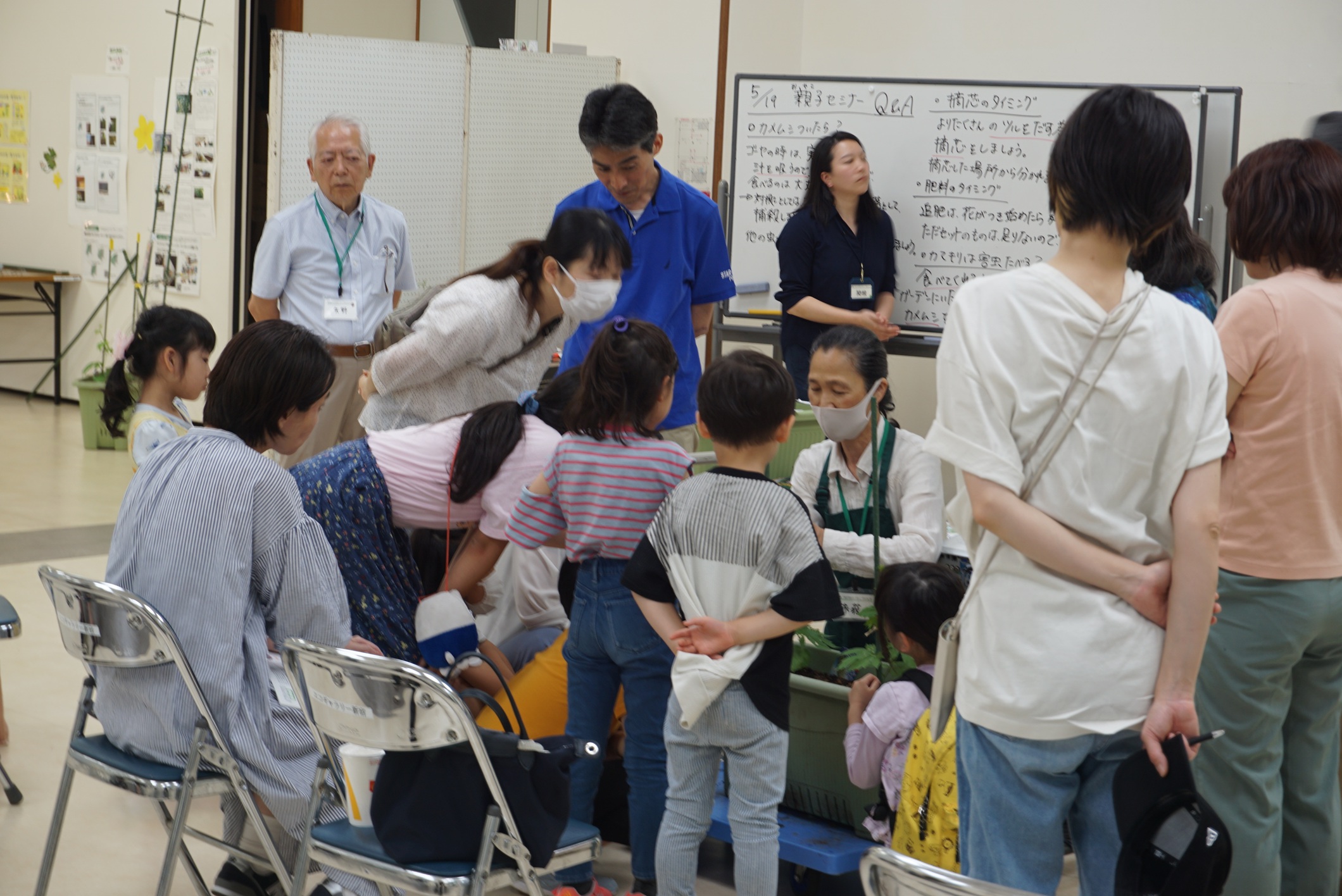 【総合案内】新宿でみどりのカーテンを育てよう！２０２４ 新宿「みどりのカーテン」参加者募集