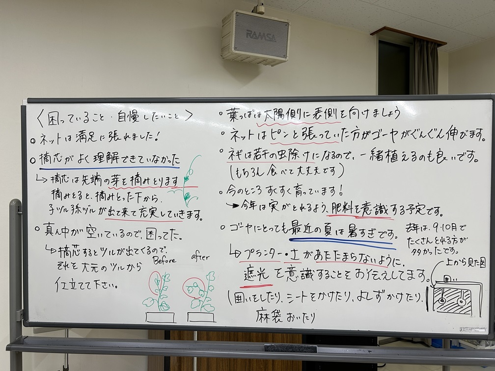 2024新宿「みどりのカーテン」プロジェクト「 ゴーヤーサロン」(６/11締切）