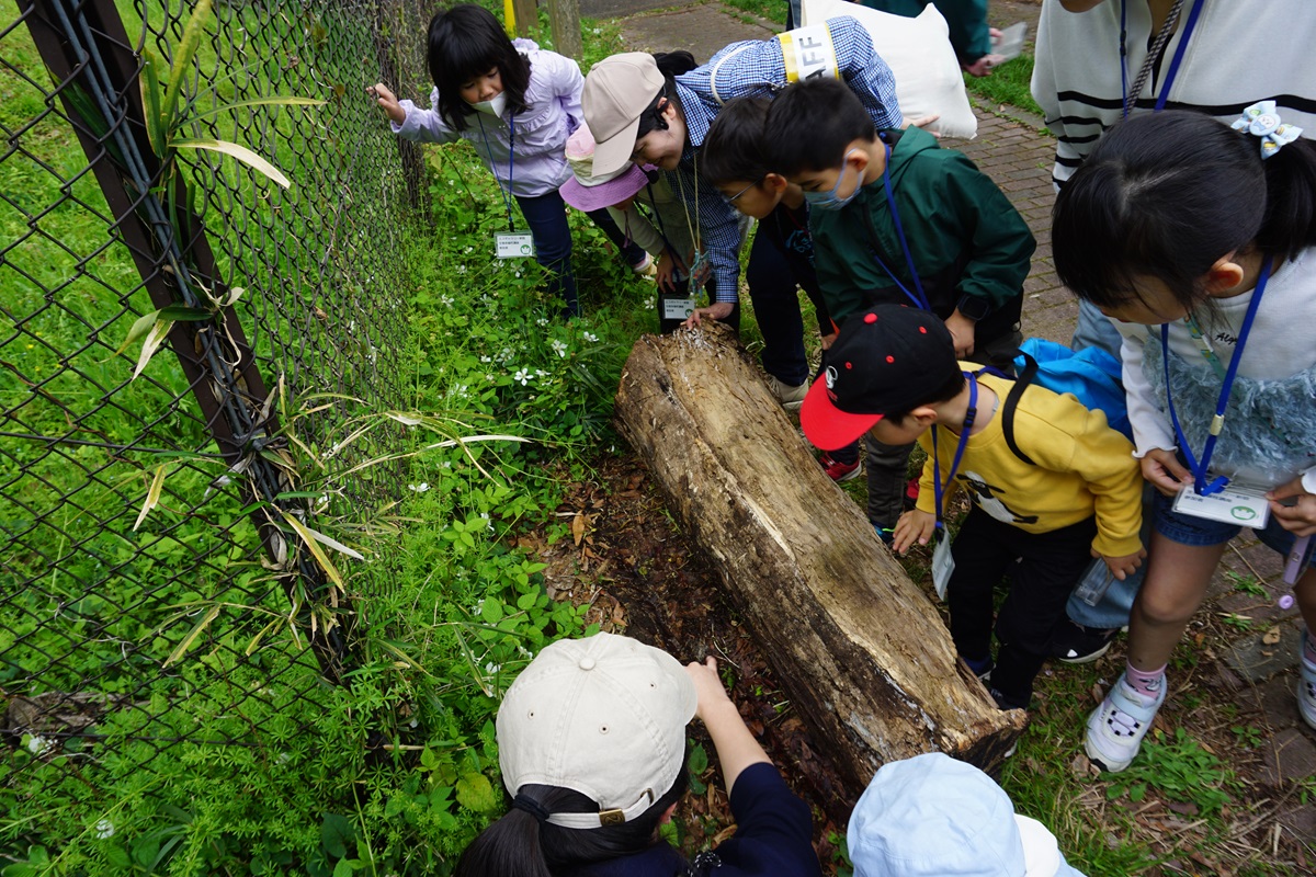 2025年 春 新宿中央公園 「春のいきものを観察しよう！」