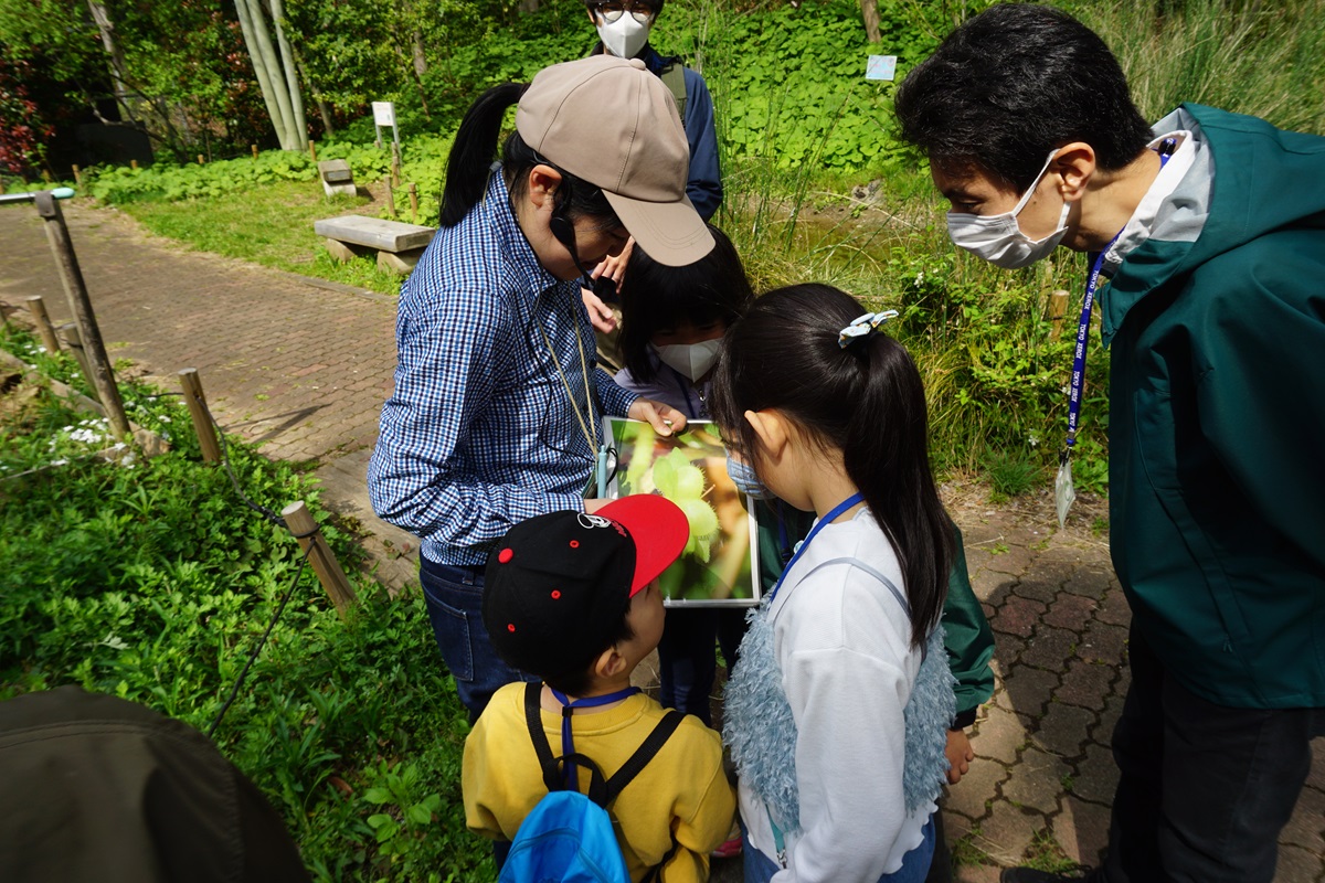 2025年 春 新宿中央公園 「春のいきものを観察しよう！」
