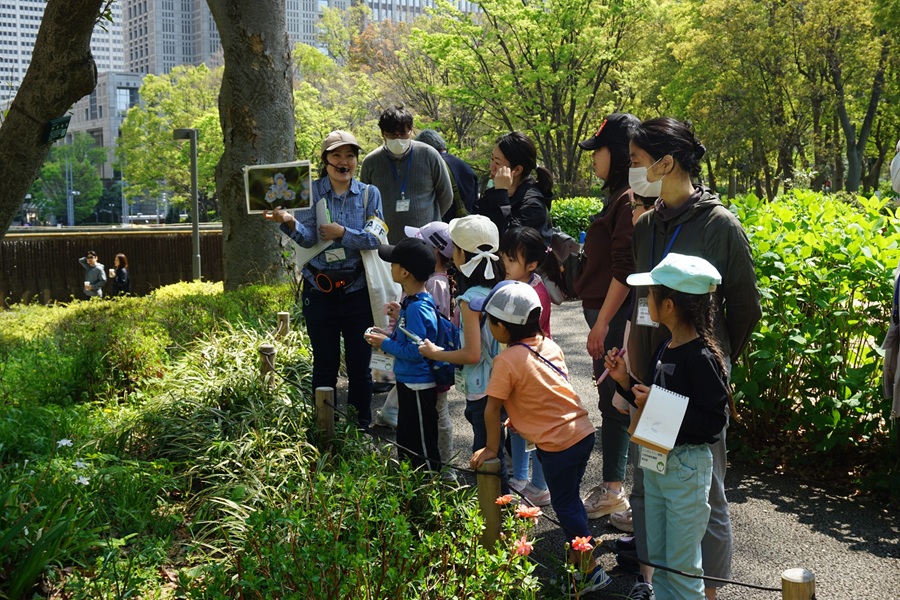 2025年 春 新宿中央公園 「春のいきものを観察しよう！」
