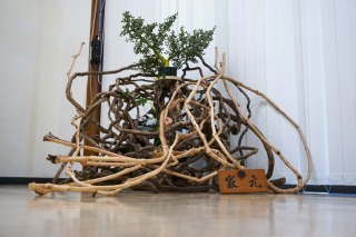 華展 澄　花の彩成す空間へのいざない