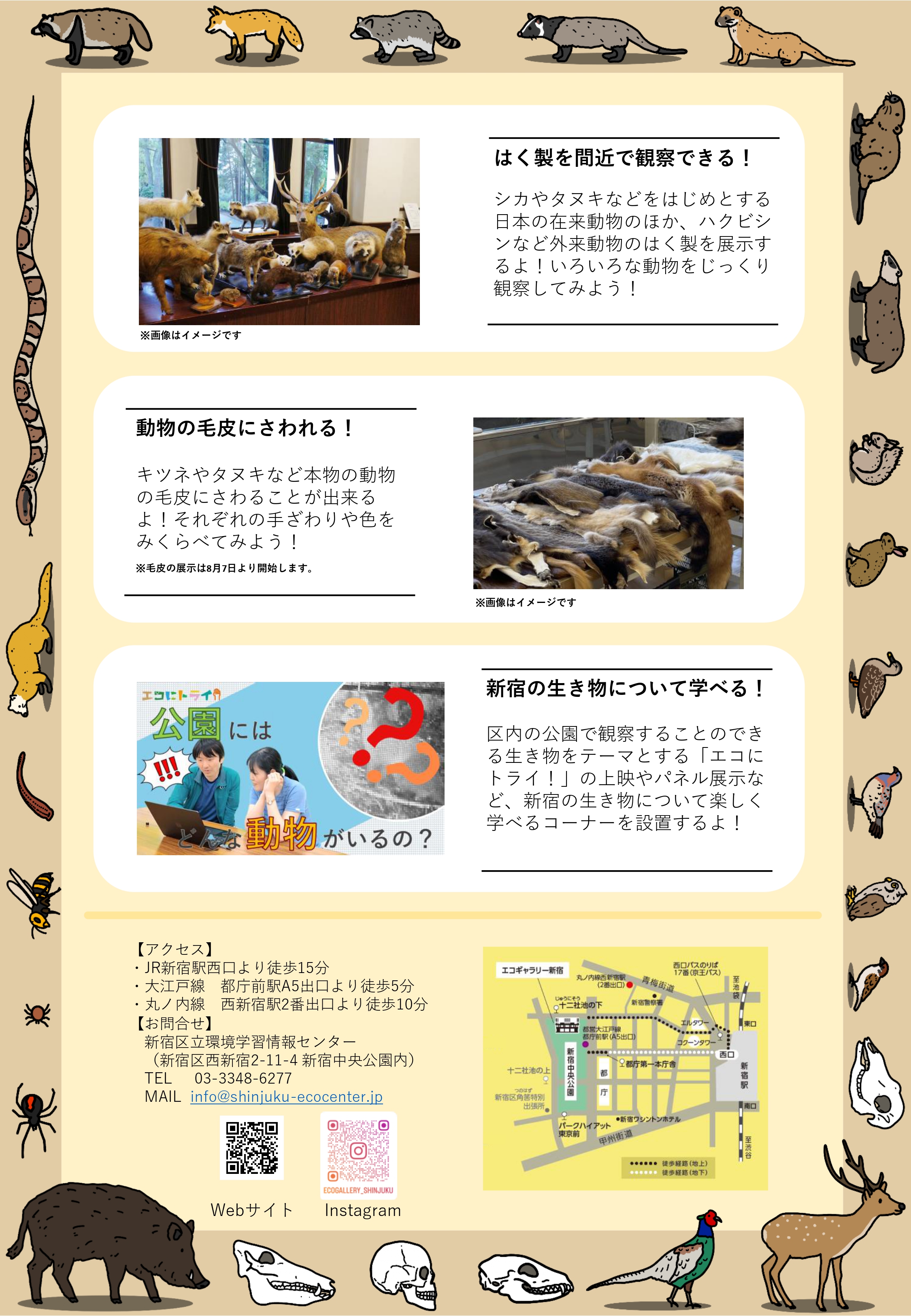 移動博物館「日本の野生動物」