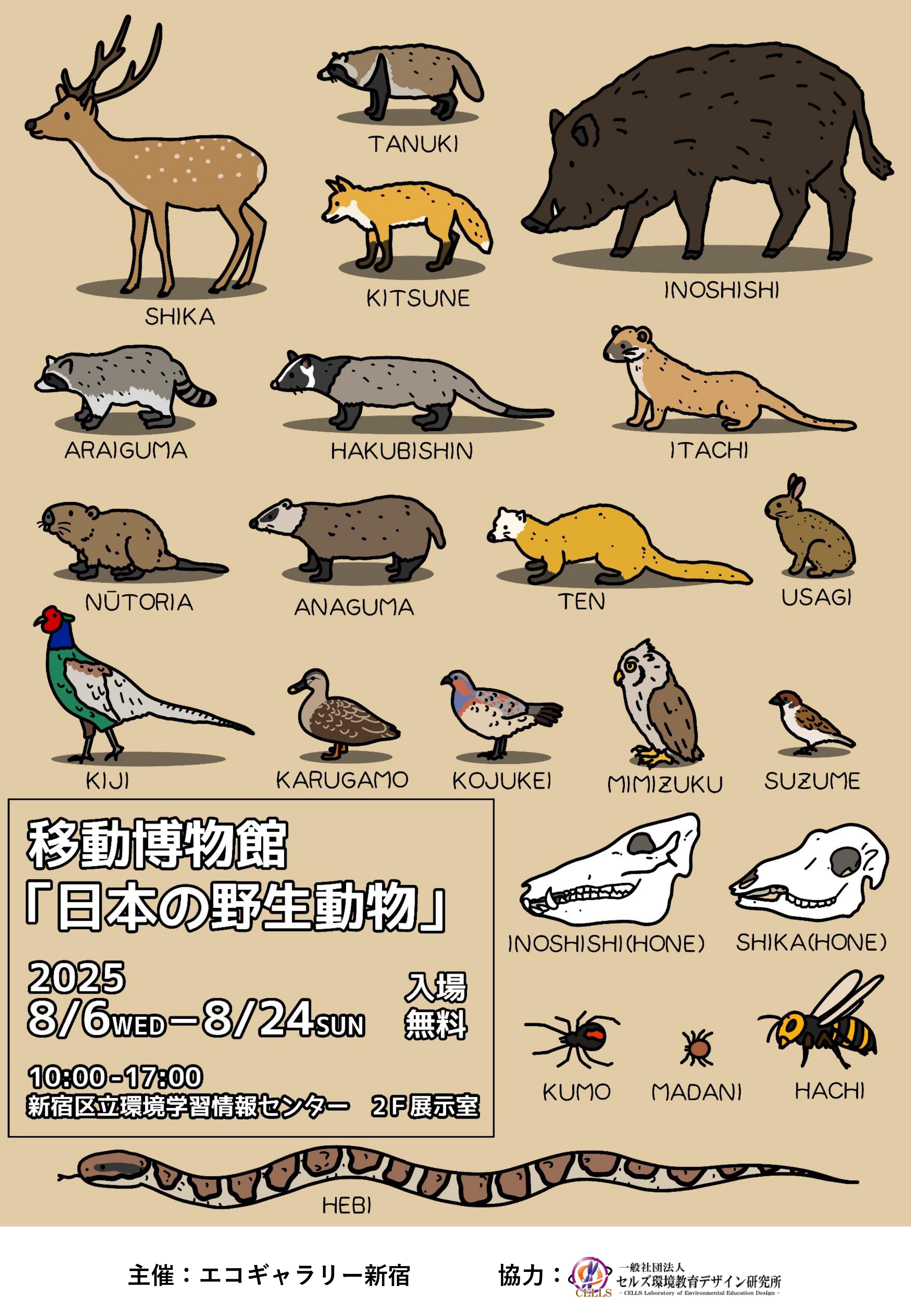 移動博物館「日本の野生動物」