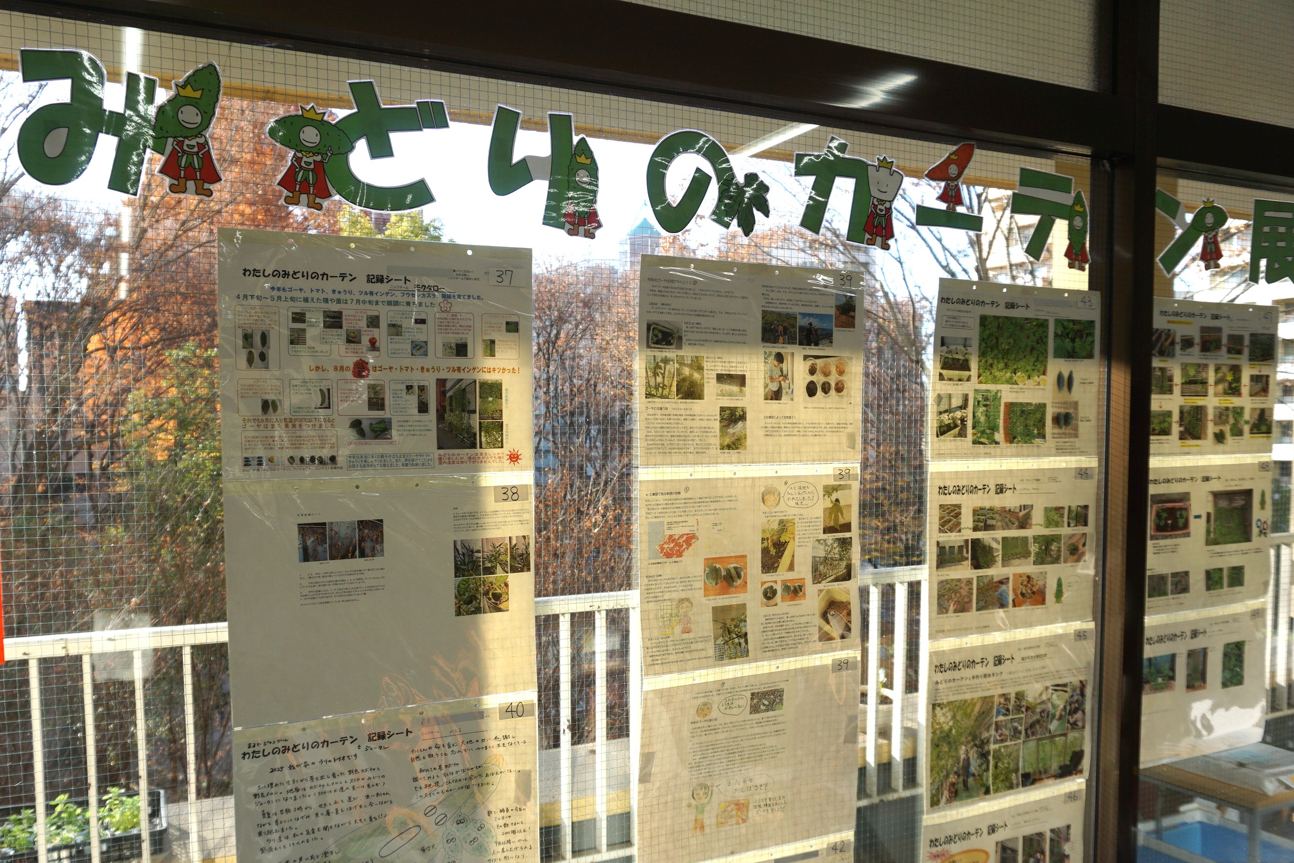 2025みどりのカーテン展